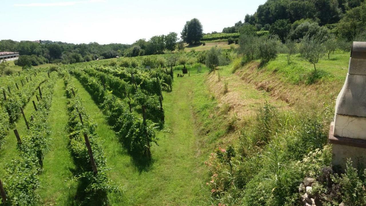 La Bosca Agriturismo